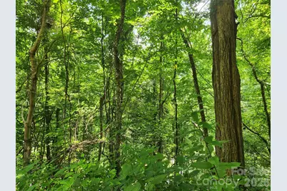 00 Green Ridge Falls Road, Weaverville, NC 28787 - Photo 3