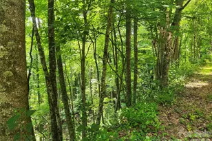 00 Green Ridge Falls Rd, Weaverville, NC 28787 - Photo 1