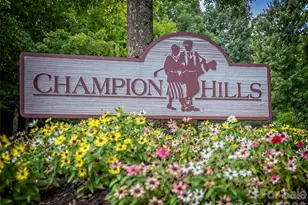16 Lacoste Dr, Hendersonville, NC 28739 - Photo 45