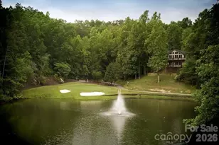 156 W Lake Dr S, Lake Lure, NC 28746 - Photo 29