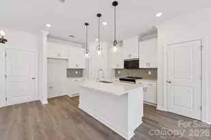 9004 Foggy Brook Loop, Charlotte, NC 28216 - Photo 11