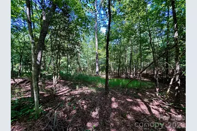 1036 W Paradise Harbor Drive, Connelly Springs, NC 28612 - Photo 3