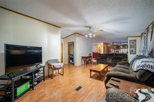 479 Mcdade Rd, Tryon, NC 28782 - Photo 7