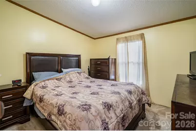 479 McDade Road, Tryon, NC 28782 - Photo 21