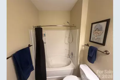 900 Vista Lake Drive #302, Candler, NC 28715 - Photo 11