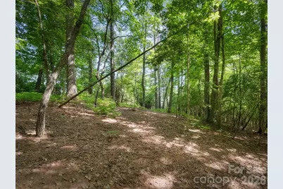Lot 161 Eagle Lake Drive, Brevard, NC 28712 - Photo 3