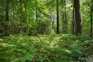 Lot 161 Eagle Lake Dr, Brevard, NC 28712 - Photo 1
