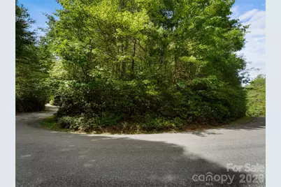 Lot 161 Eagle Lake Drive, Brevard, NC 28712 - Photo 5