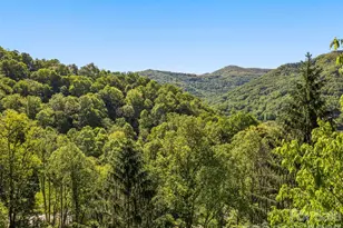 969 Mountain View Dr, Maggie Valley, NC 28751 - Photo 11