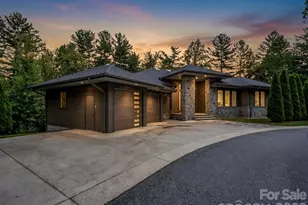 55 Pheasant Branch Ct, Hendersonville, NC 28739 - Photo 1