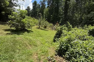 142 Avondale Rd, Asheville, NC 28803 - Photo 21