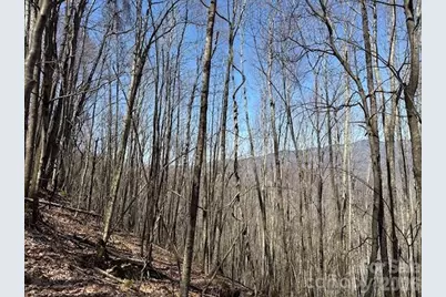 140 Boar Ridge Road, Sylva, NC 28779 - Photo 5
