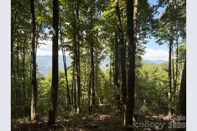 140 Boar Ridge Road, Sylva, NC 28779 - Photo 3