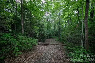 Lot 28 Big Hill Road #28, Brevard, NC 28712 - Photo 7