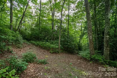 Lot 28 Big Hill Road #28, Brevard, NC 28712 - Photo 3