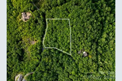 Lot 28 Big Hill Road #28, Brevard, NC 28712 - Photo 9