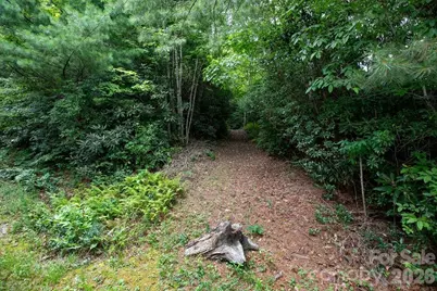 Lot 28 Big Hill Road #28, Brevard, NC 28712 - Photo 5