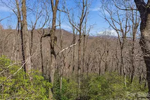 0000 Panther Mountain Rd, Zirconia, NC 28790 - Photo 13