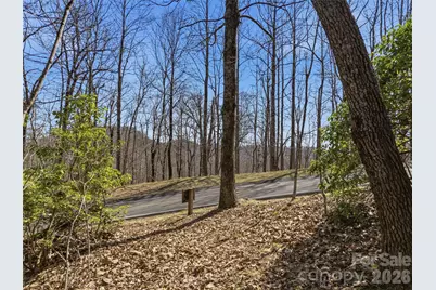 0000 Panther Mountain Road #18, Zirconia, NC 28790 - Photo 9