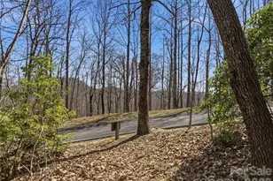 0000 Panther Mountain Rd, Zirconia, NC 28790 - Photo 9