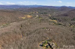 0000 Panther Mountain Rd, Zirconia, NC 28790 - Photo 29