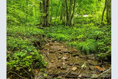 961 Wilson Branch Road, Mars Hill, NC 28754 - Photo 17