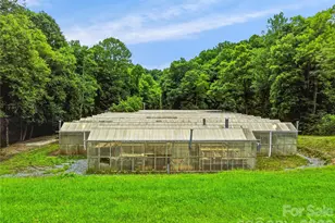 961 Wilson Branch Rd, Mars Hill, NC 28754 - Photo 25