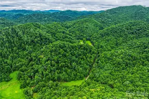 961 Wilson Branch Rd, Mars Hill, NC 28754 - Photo 15