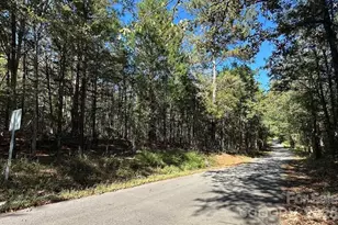 00 Poverty Hollow Rd, Fort Lawn, SC 29714 - Photo 1