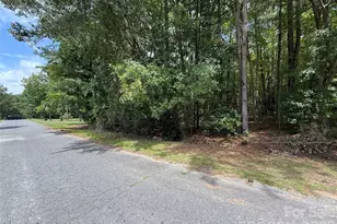 Tbd1 Highland Woods Dr, Wadesboro, NC 28170 - Photo 1