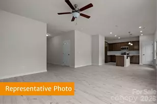 4031 Ruth Crk Ct, Charlotte, NC 28216 - Photo 3