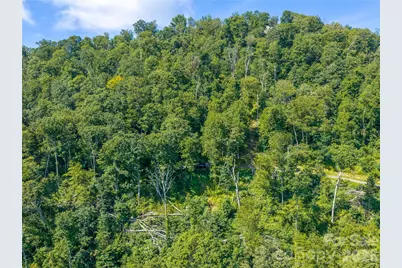 36 Cary Lane, Asheville, NC 28804 - Photo 9