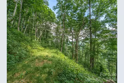 36 Cary Lane, Asheville, NC 28804 - Photo 19