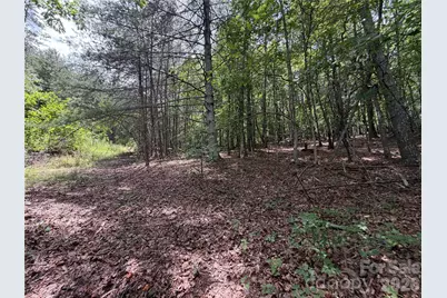 5022 Old Nc 18 Highway, Connelly Springs, NC 28612 - Photo 31