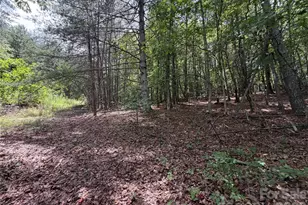 5022 Old Nc 18 Hwy, Connelly Springs, NC 28612 - Photo 31