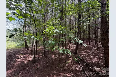 5022 Old Nc 18 Highway, Connelly Springs, NC 28612 - Photo 37