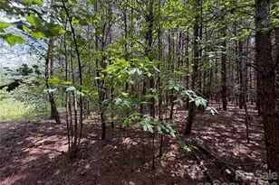 5022 Old Nc 18 Hwy, Connelly Springs, NC 28612 - Photo 37