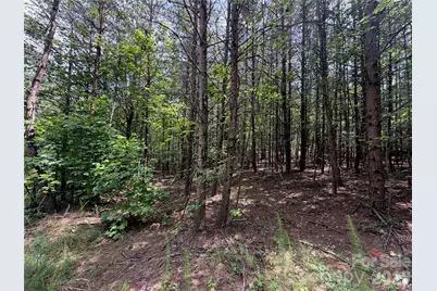 5022 Old Nc 18 Highway, Connelly Springs, NC 28612 - Photo 35