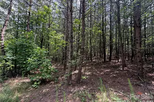 5022 Old Nc 18 Hwy, Connelly Springs, NC 28612 - Photo 35