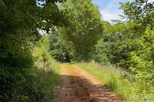 5022 Old Nc 18 Hwy, Connelly Springs, NC 28612 - Photo 23
