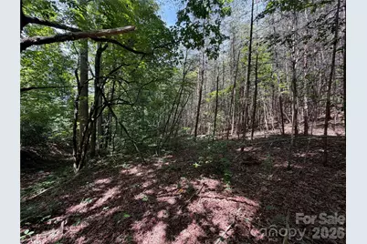 5022 Old Nc 18 Highway, Connelly Springs, NC 28612 - Photo 39