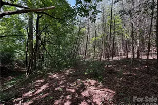 5022 Old Nc 18 Hwy, Connelly Springs, NC 28612 - Photo 39