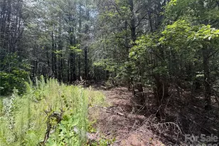 5022 Old Nc 18 Hwy, Connelly Springs, NC 28612 - Photo 33