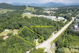 1066 Pisgah Dr, Canton, NC 28716 - Photo 3