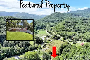 70 Iris Ln, Canton, NC 28716 - Photo 5