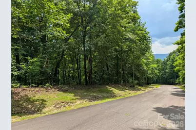 115 Ivywood Lane, Laurel Park, NC 28739 - Photo 3