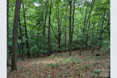 115 Ivywood Lane, Laurel Park, NC 28739 - Photo 7