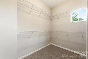 9631 Daufuskie Dr, Charlotte, NC 28278 - Photo 21