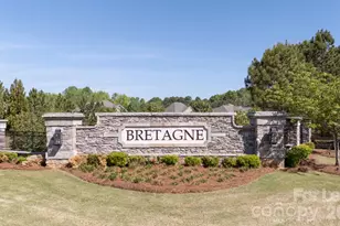1134 Regions Blvd, Fort Mill, SC 29707 - Photo 37