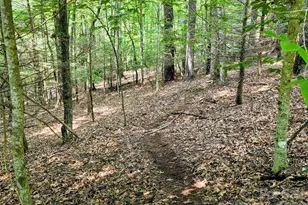 98 Will Wilson Rd, Burnsville, NC 28714 - Photo 17